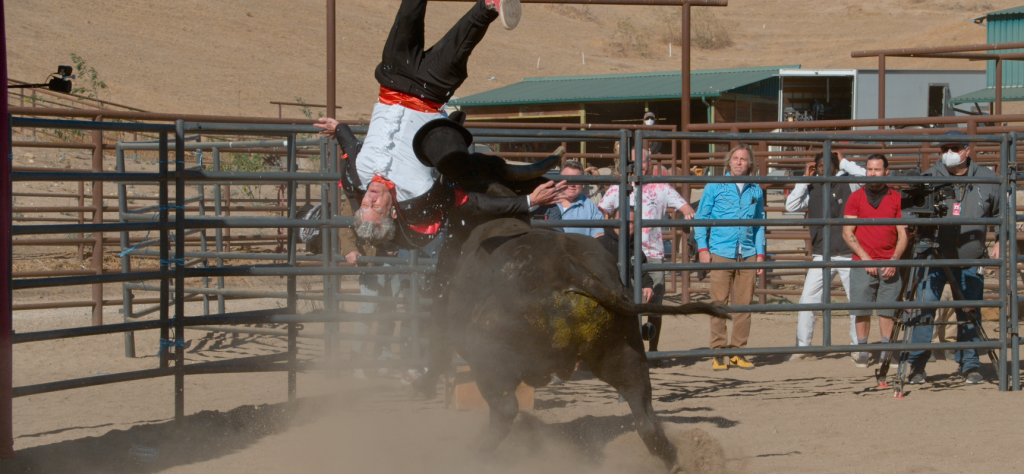 JACKASS: BEST AND LAST